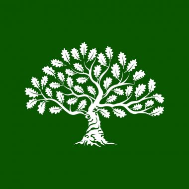 Büyük ve kutsal meşe ağacı siluet logo rozet üzerinde yeşil arka plan izole. Modern vektör Ulusal gelenek yeşil bitki simgesini işaret tasarımı. Premium Kalite organik bonsai logo düz illüstrasyon.
