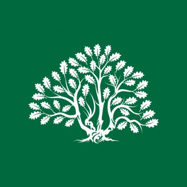 Büyük ve kutsal meşe ağacı siluet logo rozet üzerinde yeşil arka plan izole. Modern vektör Ulusal gelenek yeşil bitki simgesini işaret tasarımı. Premium Kalite organik bonsai logo düz illüstrasyon.