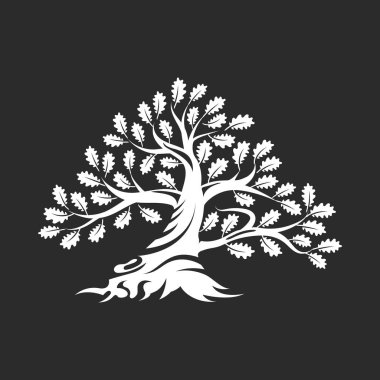 Büyük ve kutsal meşe ağacı siluet logo rozet koyu arka plan üzerinde izole. Modern vektör Ulusal gelenek yeşil bitki simgesini işaret tasarımı. Premium Kalite organik bonsai logo düz illüstrasyon.