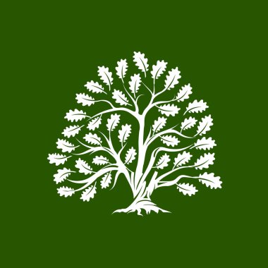 Büyük ve kutsal meşe ağacı siluet logo rozet üzerinde yeşil arka plan izole. Modern vektör Ulusal gelenek yeşil bitki simgesini işaret tasarımı. Premium Kalite organik bonsai logo düz illüstrasyon.