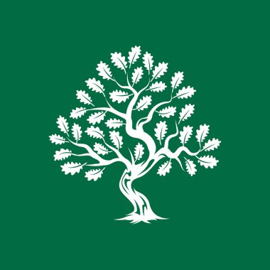 Büyük ve kutsal meşe ağacı siluet logo rozet üzerinde yeşil arka plan izole. Modern vektör Ulusal gelenek yeşil bitki simgesini işaret tasarımı. Premium Kalite organik bonsai logo düz illüstrasyon.
