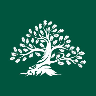 Büyük ve kutsal meşe ağacı siluet logo rozet üzerinde yeşil arka plan izole. Modern vektör Ulusal gelenek yeşil bitki simgesini işaret tasarımı. Premium Kalite organik bonsai logo düz illüstrasyon.