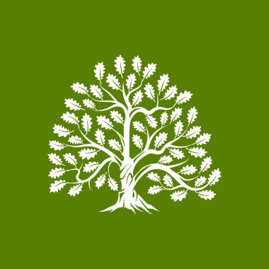 Büyük ve kutsal meşe ağacı siluet logo rozet üzerinde yeşil arka plan izole. Modern vektör Ulusal gelenek yeşil bitki simgesini işaret tasarımı. Premium Kalite organik bonsai logo düz illüstrasyon.