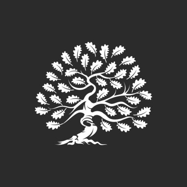 Büyük ve kutsal meşe ağacı siluet logo rozet koyu arka plan üzerinde izole. Modern vektör Ulusal gelenek yeşil bitki simgesini işaret tasarımı. Premium Kalite organik bonsai logo düz illüstrasyon.