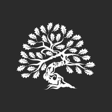 Büyük ve kutsal meşe ağacı siluet logo rozet koyu arka plan üzerinde izole. Modern vektör Ulusal gelenek yeşil bitki simgesini işaret tasarımı. Premium Kalite organik bonsai logo düz illüstrasyon.