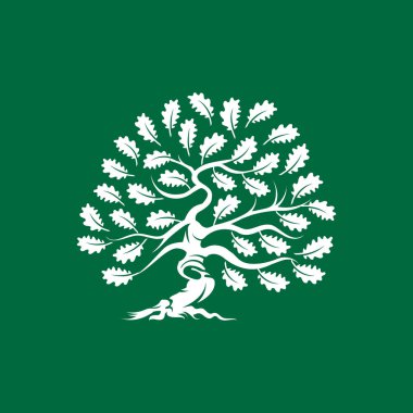 Büyük ve kutsal meşe ağacı siluet logo rozet üzerinde yeşil arka plan izole. Modern vektör Ulusal gelenek yeşil bitki simgesini işaret tasarımı. Premium Kalite organik bonsai logo düz illüstrasyon.