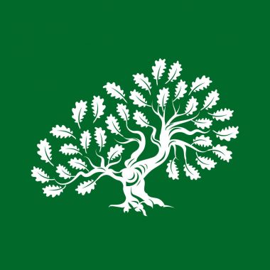 Büyük ve kutsal meşe ağacı siluet logo rozet üzerinde yeşil arka plan izole. Modern vektör Ulusal gelenek yeşil bitki simgesini işaret tasarımı. Premium Kalite organik bonsai logo düz illüstrasyon.