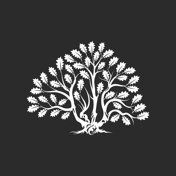 巨大な神聖な樫の木のシルエット ロゴバッジの暗い背景に分離されました 現代ベクトル国民の伝統植物アイコン サイン計画 プレミアム品質有機盆栽ロゴタイプ フラット図 — ストックベクタ