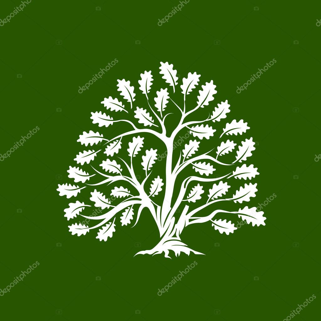 Huge and sacred oak tree silhouette logo badge isolated on green background. Modern vector national tradition green plant icon sign design. Premium quality organic bonsai logotype flat illustration.