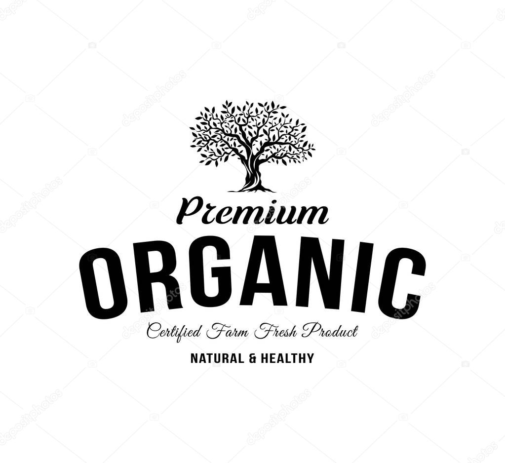 Organic natural and healthy farm fresh food retro emblem. Vintage olive tree logo isolated on white background. Premium quality certified vegetarian product old fashion badge logotype illustration.