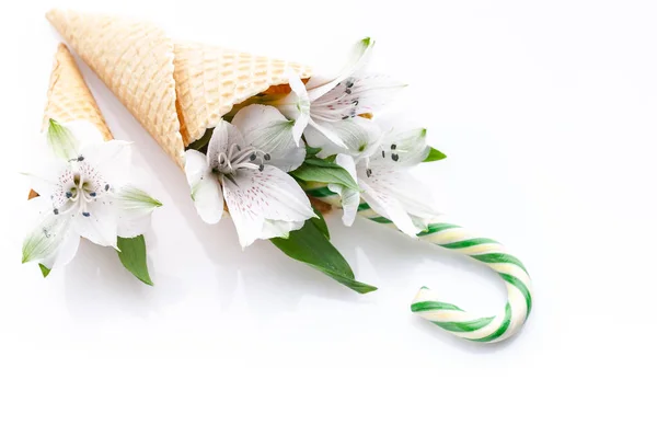 Close-up of white flowers in a waffle cone and lollipop cane on a white background. For decorating a wedding card or Valentines Day