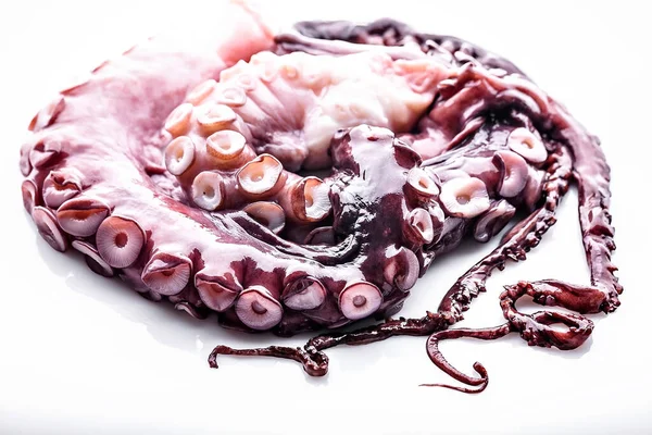 Delicious sea delicacy. Octopus tentacles on white background. Horisontal shot. Close-up.