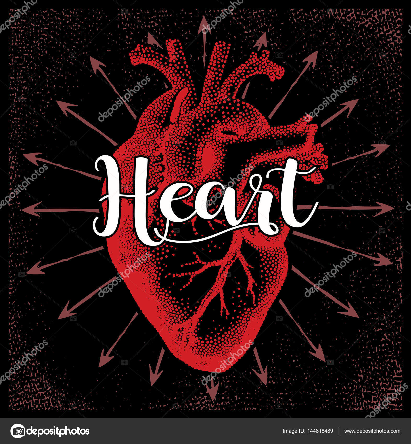 Illustrazione anatomica del cuore — Vettoriale Stock