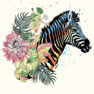 Zebra illüstrasyon Splashing etkileri