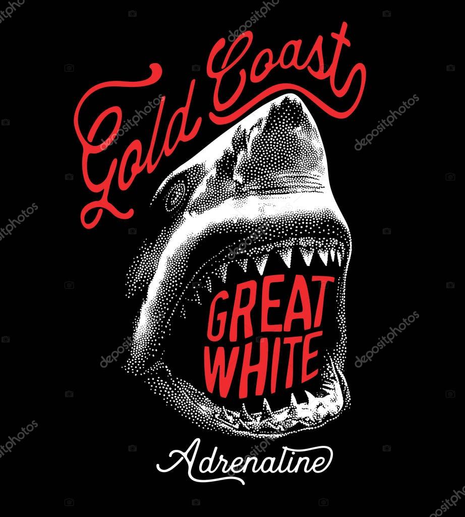 Hand-drawn great white shark