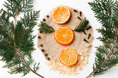 Beyaz izole Noel ağacı dalı, mandalina, yeni yıl dekorasyon. Yaratıcı kavramı, metin için yer logo. düz lay