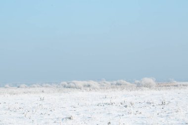 Sis alanıyla kış.