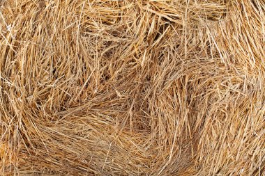 Bahar kuru dokulu saman arka plan.