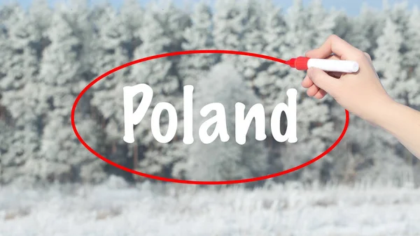 Frau schreibt Poland mit Filzstift über den Winterwald. — Stockfoto