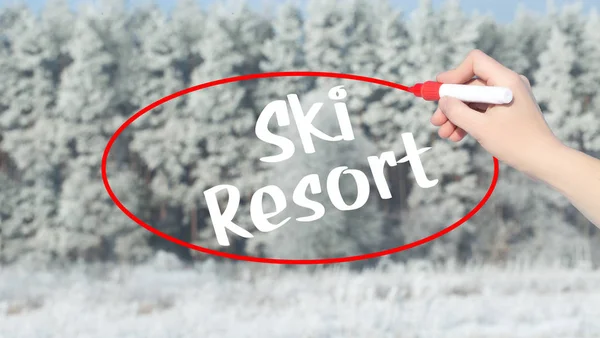 Woman Hand Writing Ski Resort with marker over winter forest. — Stock Photo, Image