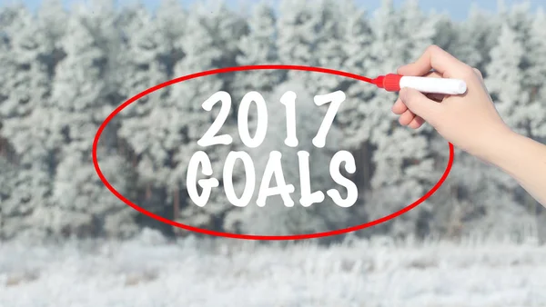 Woman Hand Writing 2017 Goals with marker over winter forest.