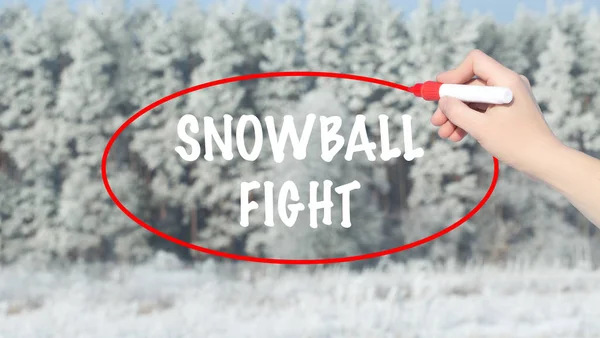 Mujer escritura de la mano bola de nieve Lucha con marcador sobre el bosque de invierno . —  Fotos de Stock