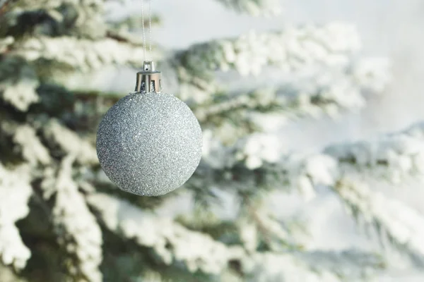 Silver Christmas balls hanging on a branch of fir tree — Stock Photo, Image