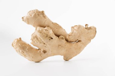 Beyaz arka plan üzerinde duran sevimli taze zencefil kökü