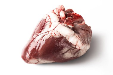 Beyaz bir arka plan üzerinde izole ham koyun kalp