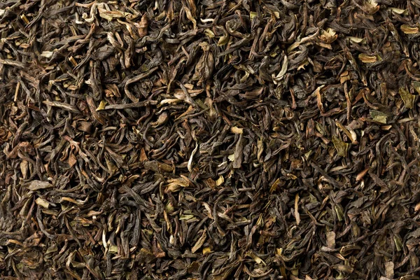 Black tea loose dried darjeeling tea leaves — Stock Photo, Image