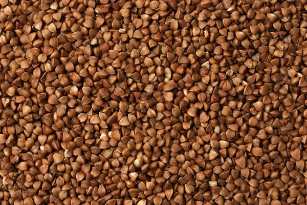 Textura de trigo sarraceno oscuro foto de alta calidad de grañones de trigo sarraceno premium — Foto de Stock