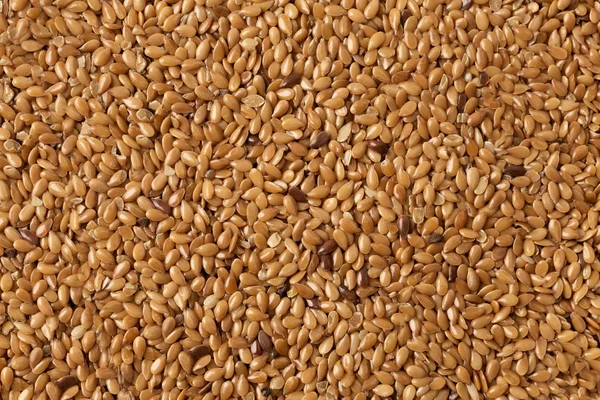 Fundo de sementes de linho cru integral cereal . — Fotografia de Stock