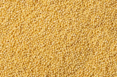 Sarı ham darı kabuğu çıkarılmış tane dokulu arka plan olarak