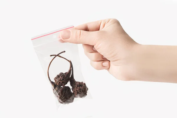 Hand holding Plastic transparent zipper bag with home dry pears isolated on white, Vacuum package mockup with red clip. Concept. — Stock Photo, Image