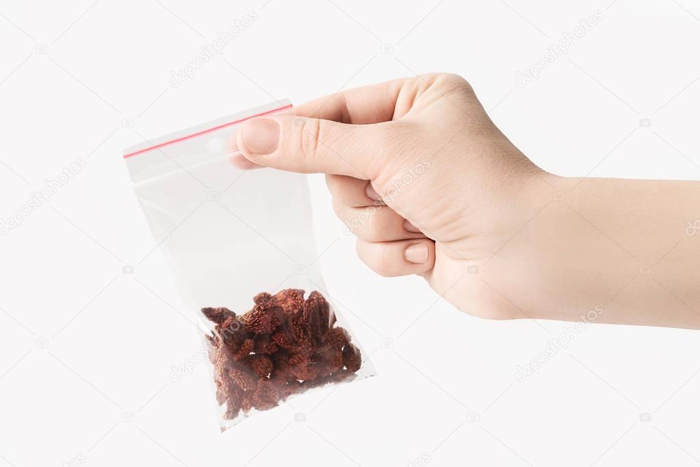 Hand holding Plastic transparent zipper bag with home dry strawberries isolated on white, Vacuum package mockup with red clip. Concept.