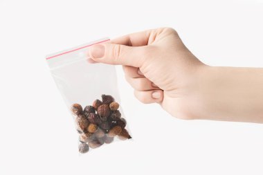 Hand holding Plastic transparent zipper bag with home dried briar isolated on white, Vacuum package mockup with red clip. Concept. clipart