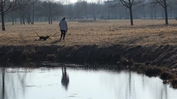 Une femme âgée promène son chien fraîche journée d'automne près d'un étang — Video