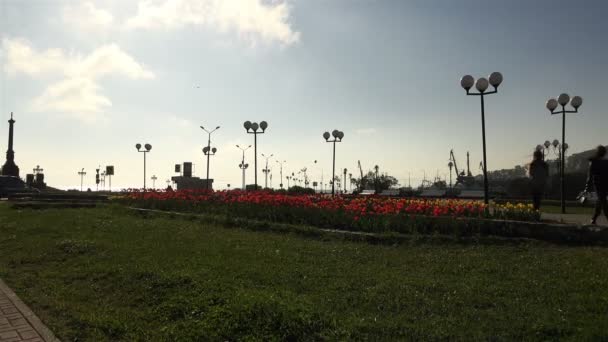 Tulipas vermelhas e amarelas no canteiro de flores na grama verde na praça da cidade — Vídeo de Stock