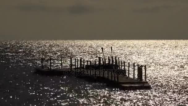 Drijvende pier ligplaats voor boten schepen en boten — Stockvideo