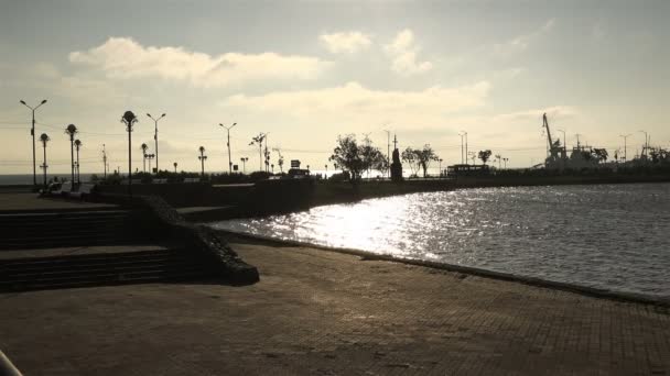 Embankment beco Lago da Amizade Kultuchnaya na parte central da cidade — Vídeo de Stock