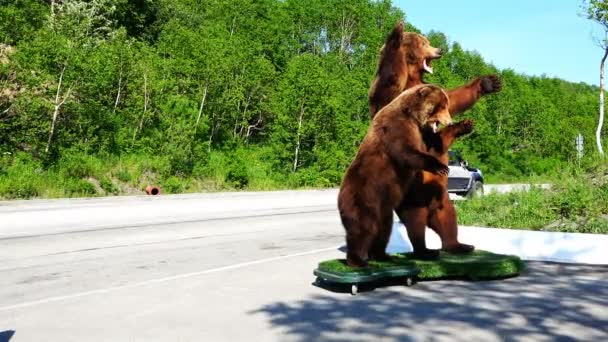 Escultura artificial de dos osos pardos rugientes cerca de la calzada — Vídeos de Stock