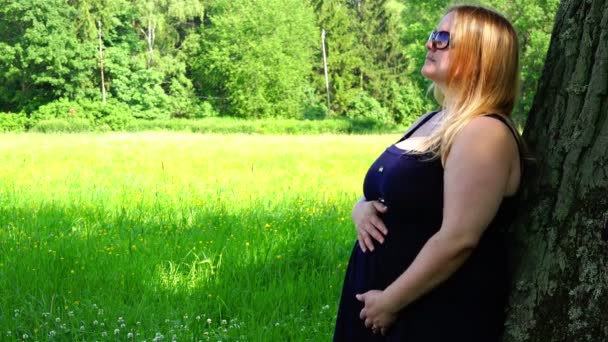 Chica embarazada en gafas de sol mirando al cielo y acariciando su estómago — Vídeo de stock