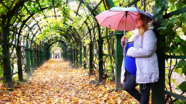 En flicka med en baby i livmodern står under ett parasoll på en avenue i regniga höstväder — Stockvideo