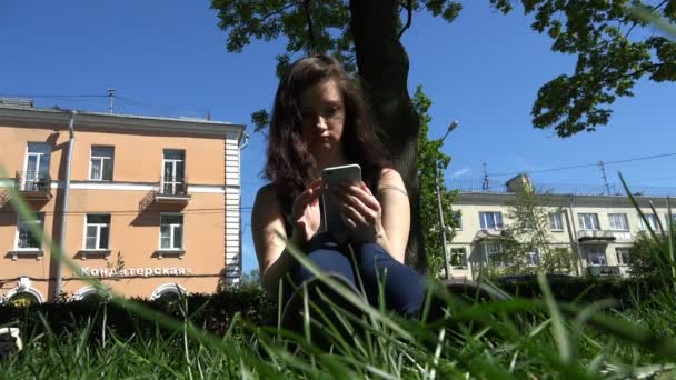 Em um parque na grama verde, uma mulher de negócios trabalha com um smartphone de nova geração — Vídeo de Stock