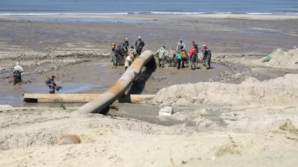 Les braconniers sous forme de caoutchouc mènent leurs activités dans la boue sur le rivage — Video