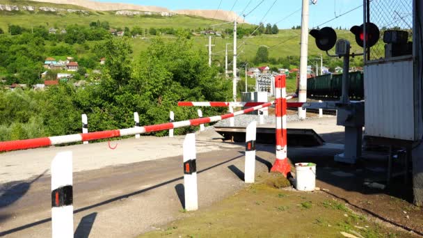 Closed barrier with a red traffic light on the background of a passing freight train — Stock Video