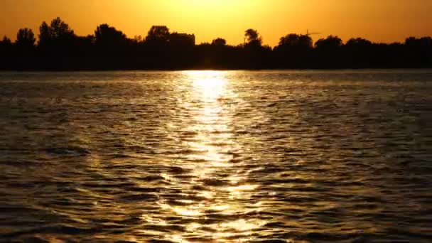 Bagliore del sole sulle acque oscure del fiume — Video Stock