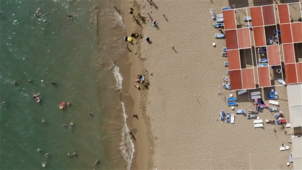 해변의 모래사장에서 여름 햇살 아래서 일광욕을 하는 사람들 — 비디오