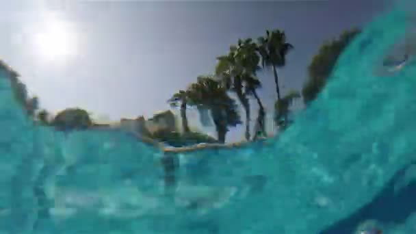 Bajo el agua se pueden ver palmeras y la luz del sol — Vídeos de Stock