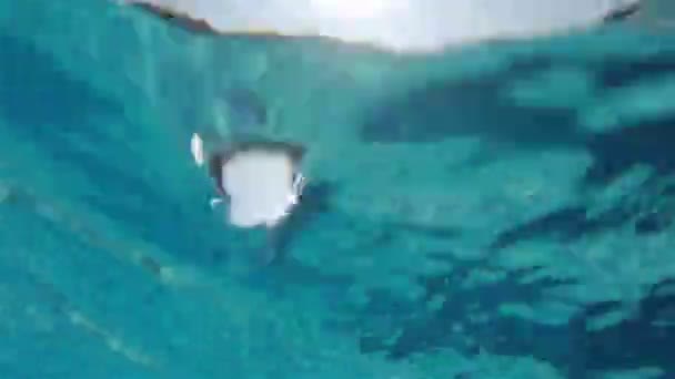 Стрілянина під водою з басейну готелю. На поверхні води — стокове відео